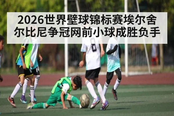 2026世界壁球锦标赛埃尔舍尔比尼争冠网前小球成胜负手
